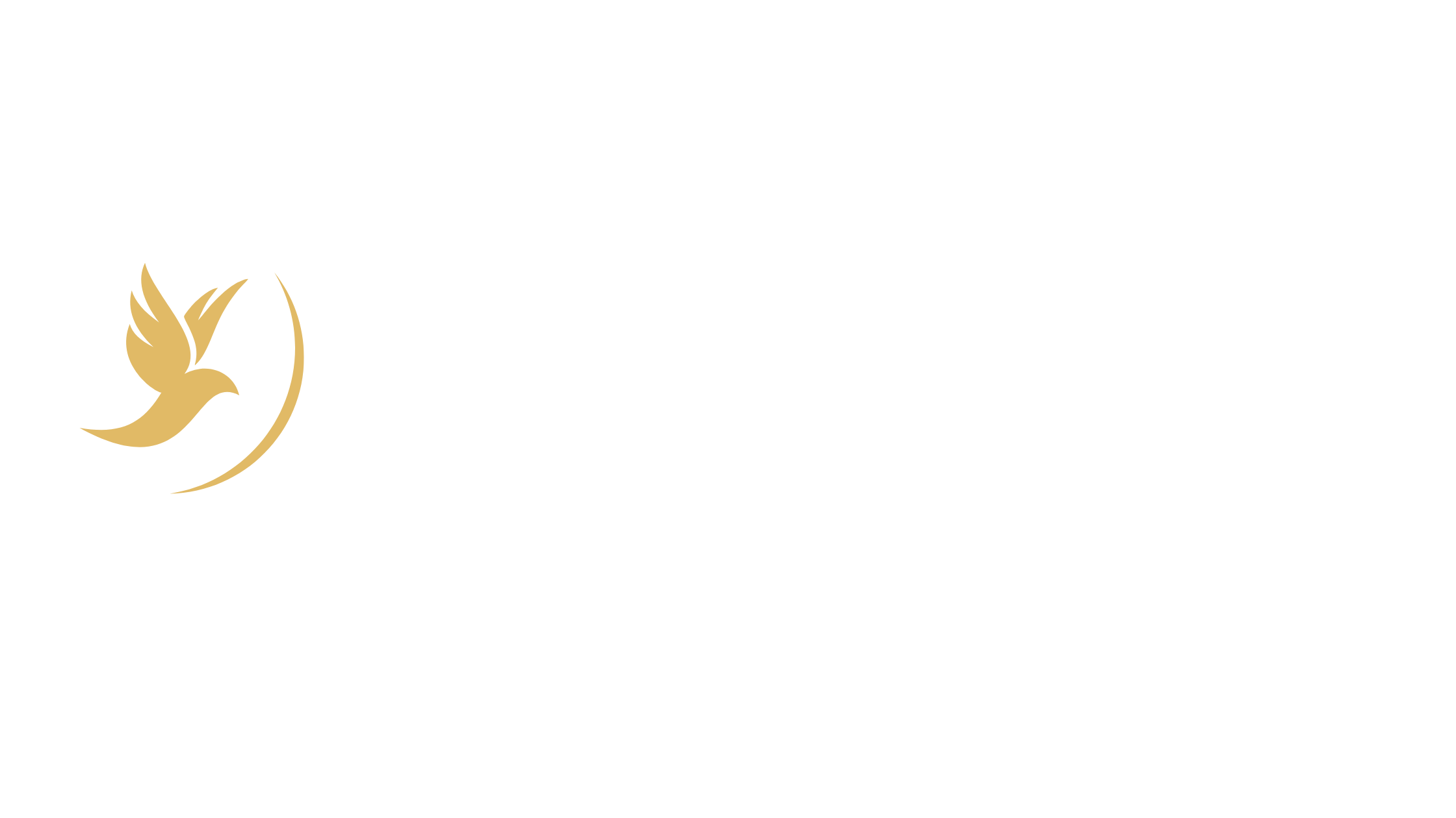 Blue Sky Black Limo Service